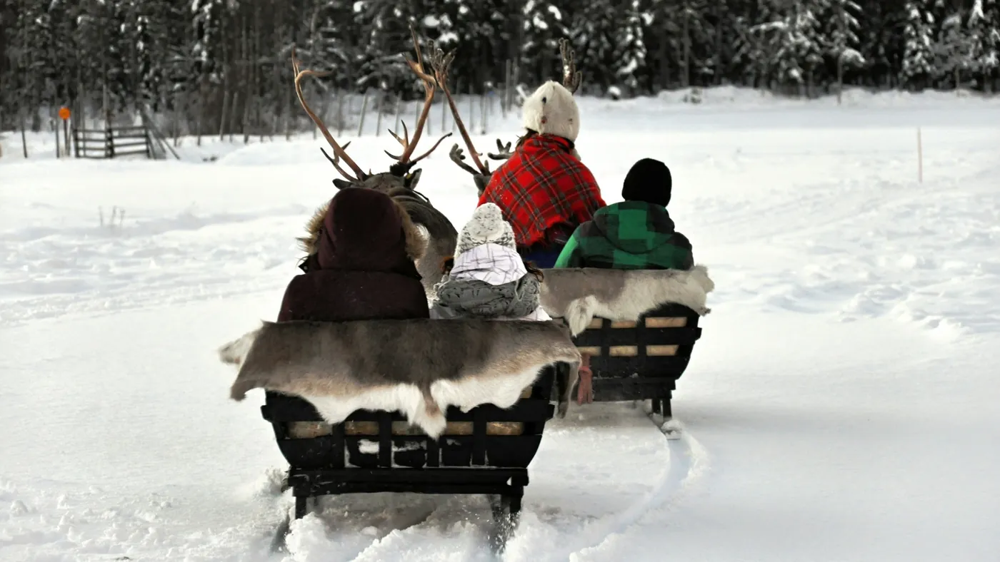 Reindeer Riders Best Reindeer Ride in Rovaniemi 2026 · Our verdict and why